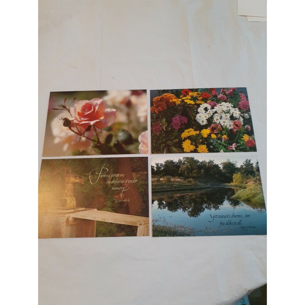 Lot Of 4 Current Inc. Postcards Floral Outdoors 1980 Unposted